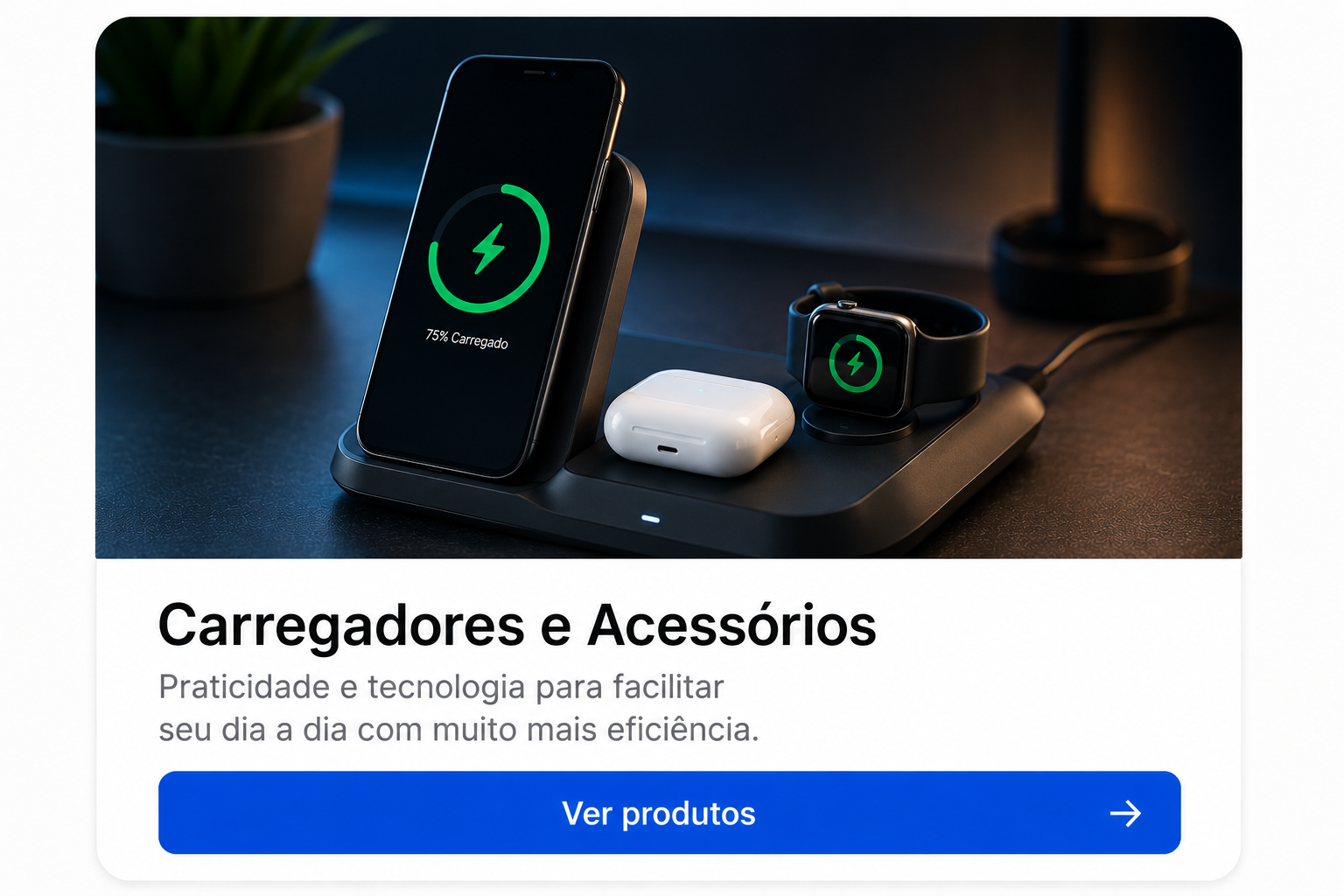 Carregadores e Acessórios
